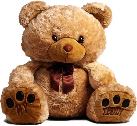 زیباترین عروسک خرس شاسخین