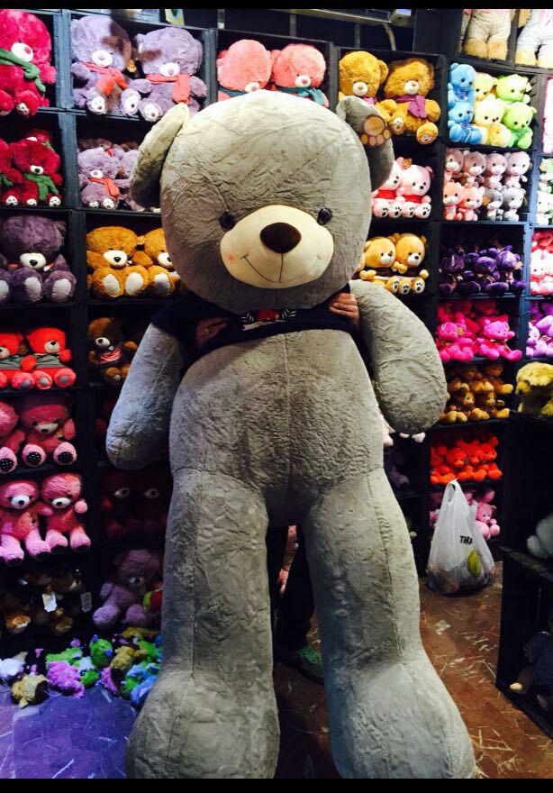 خرید عروسک خرس شاسخین بزرگ