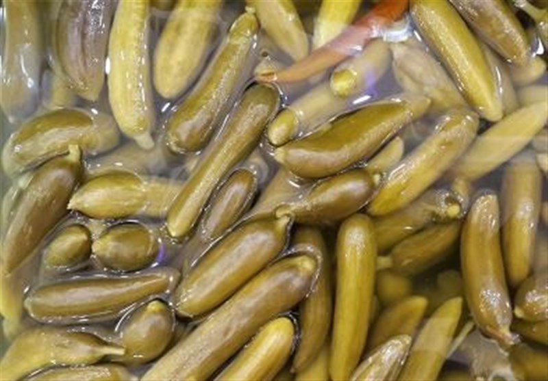 خیارشور